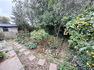 Picture 15